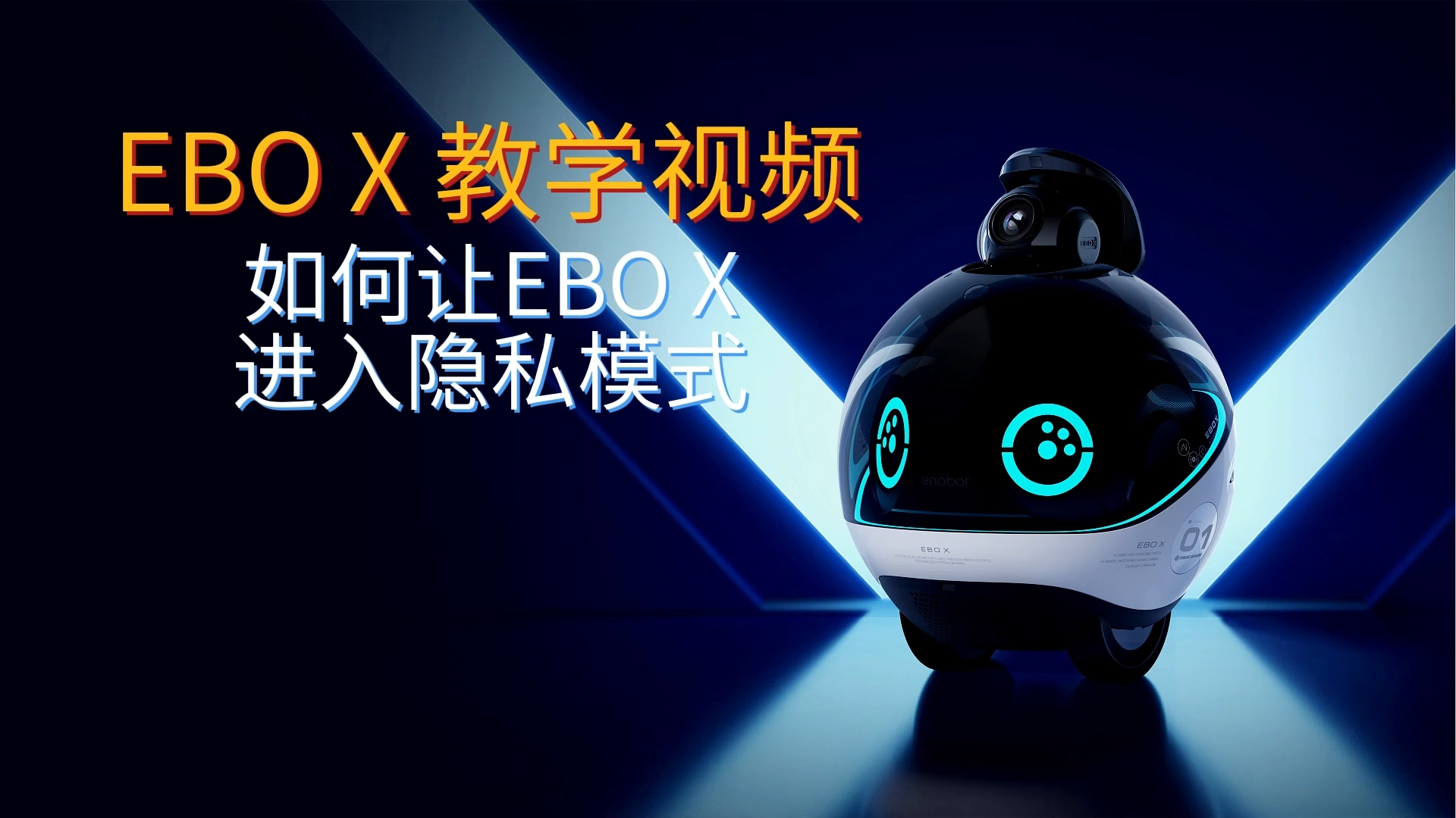 EBO X 隐私模式设置