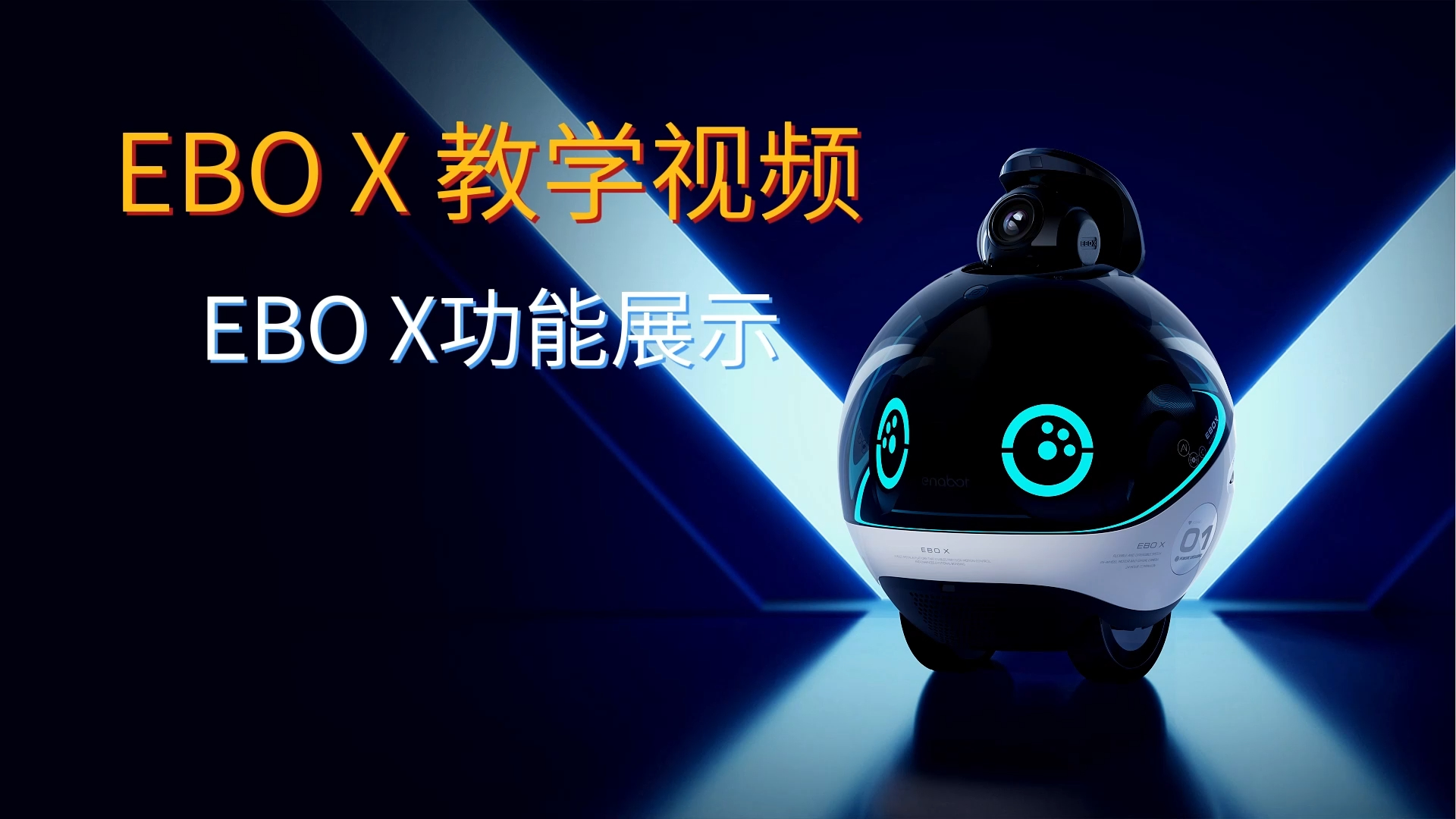 EBO X 功能展示