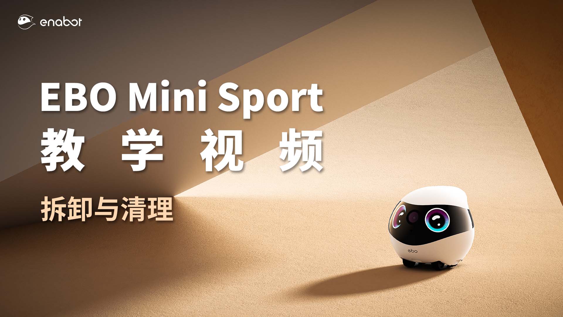 拆卸与清理